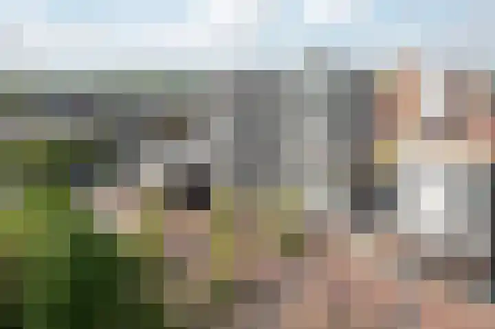 De Marke 182 Drachten thumbnail 42