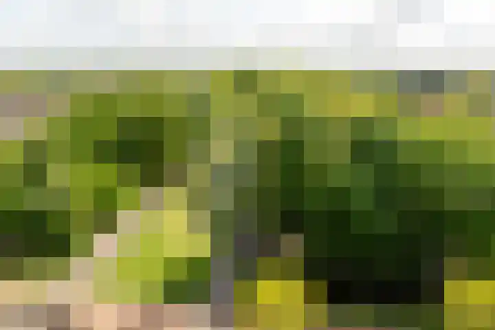 De Marke 182 Drachten thumbnail 5