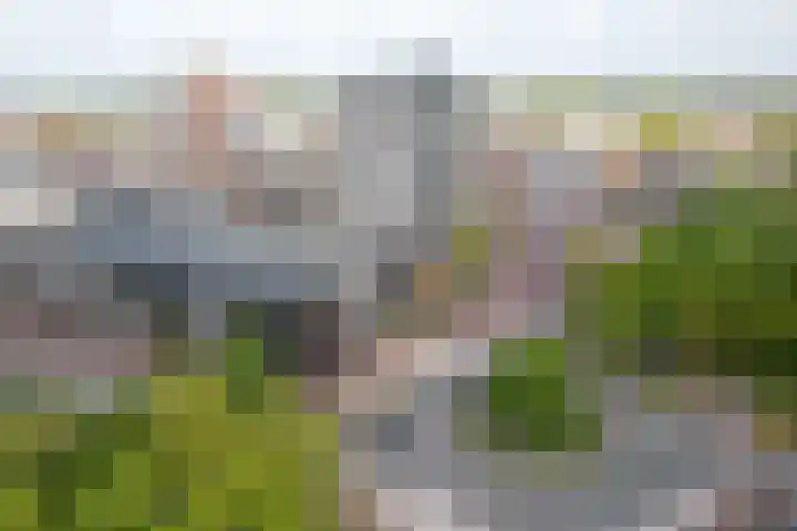 De Marke 182 Drachten thumbnail 8
