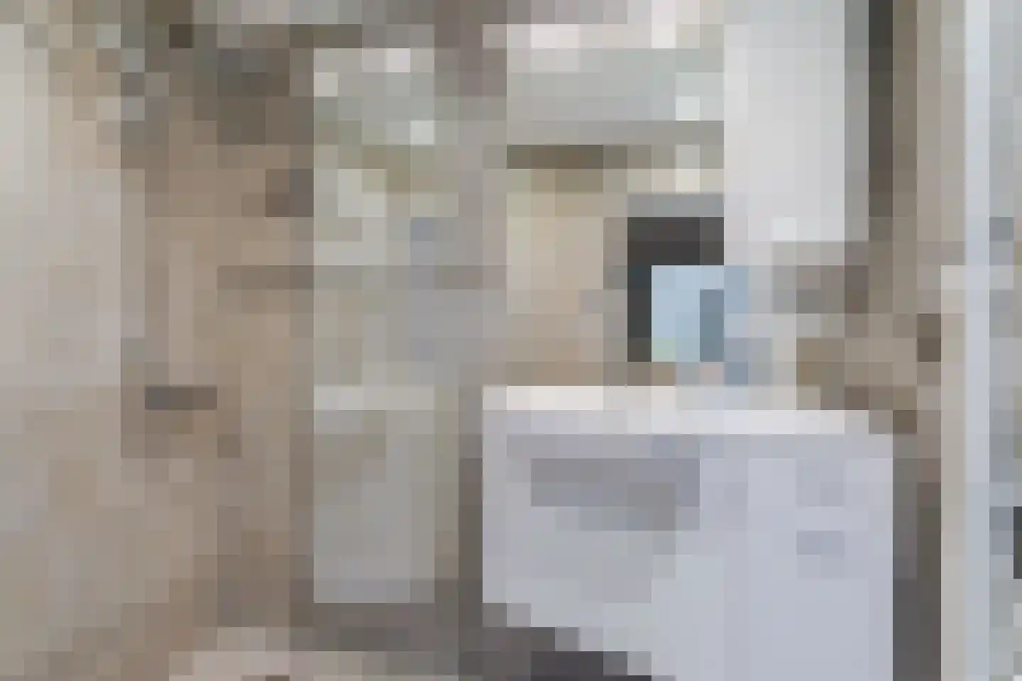 De Marke 216 Drachten thumbnail 36