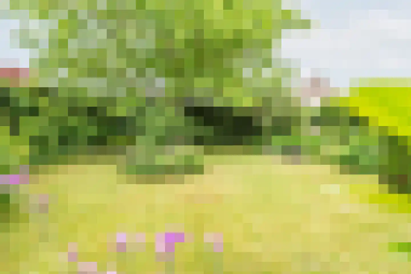 De Marke 35 Dinxperlo thumbnail 38