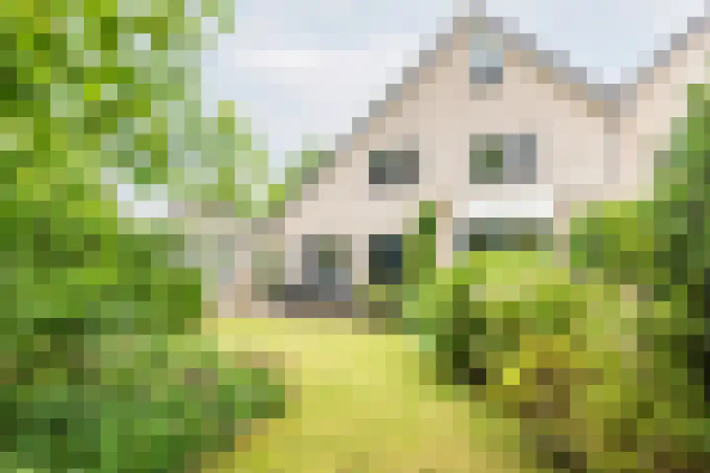 De Marke 35 Dinxperlo thumbnail 39