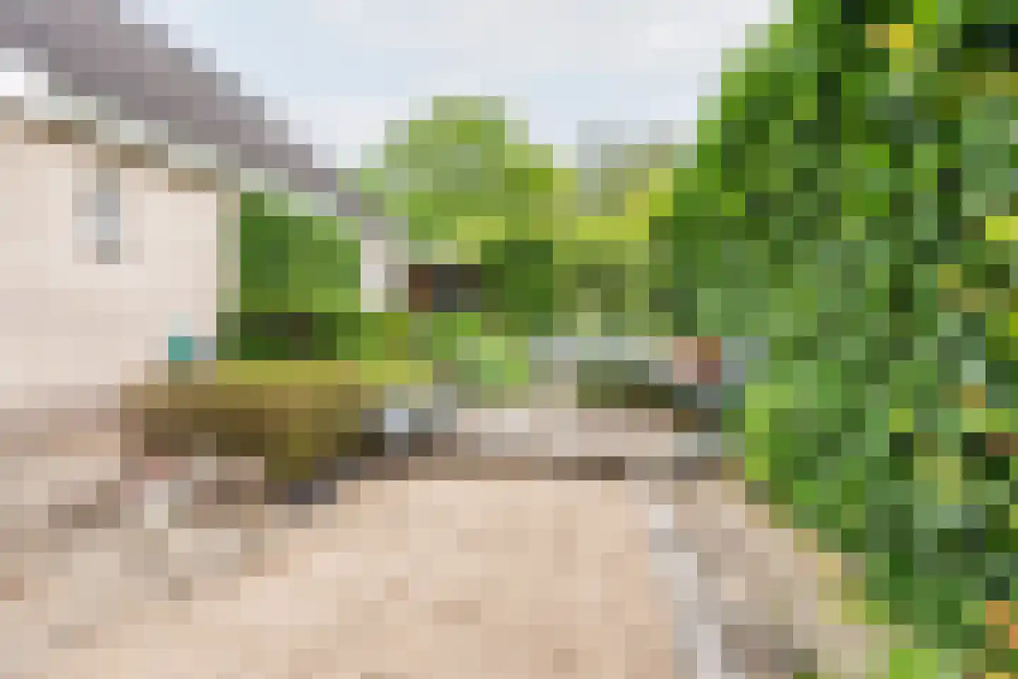 De Marke 35 Dinxperlo thumbnail 44