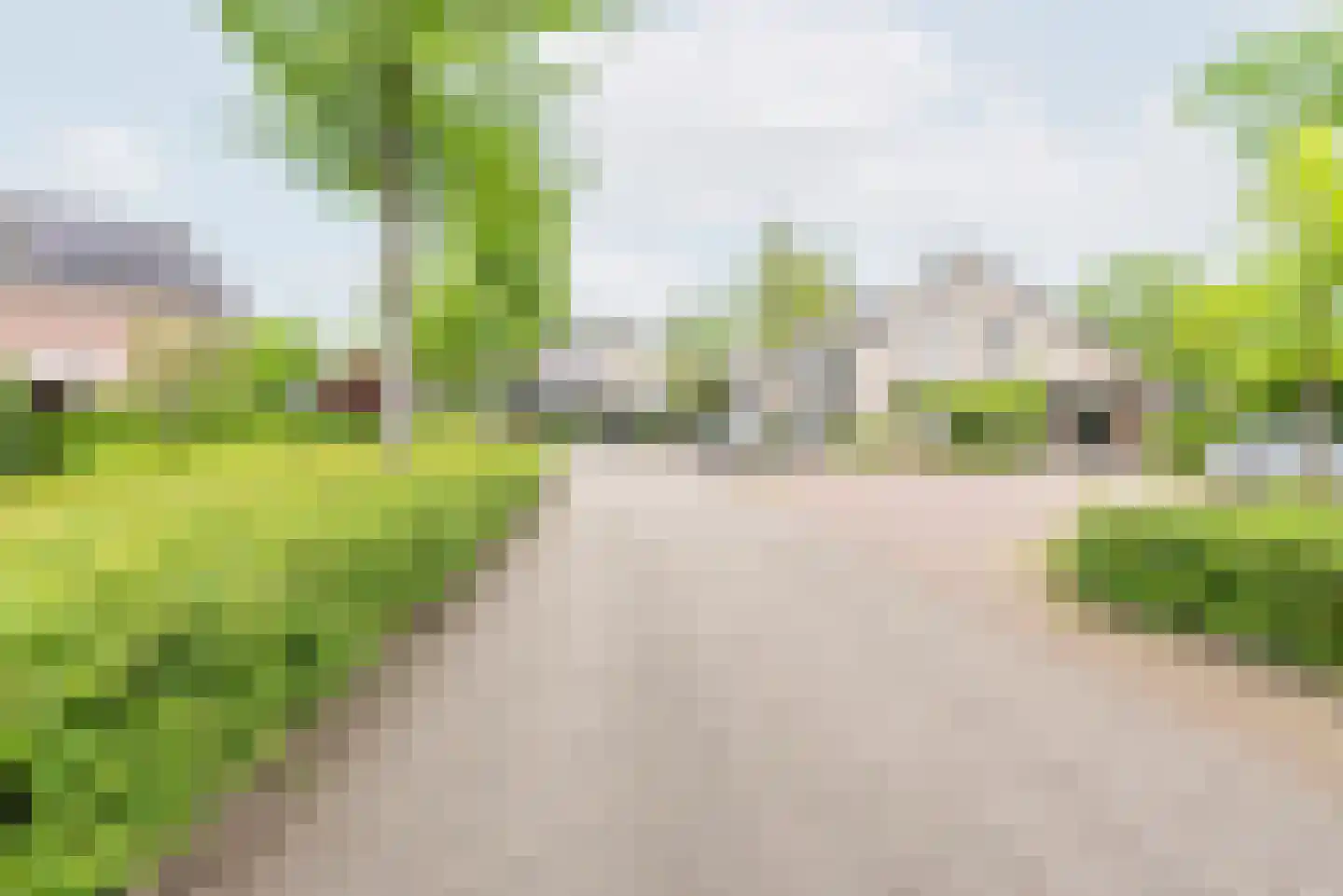 De Marke 35 Dinxperlo thumbnail 50