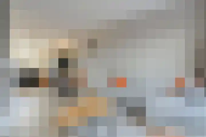 De Marke 4 Lemelerveld thumbnail 15