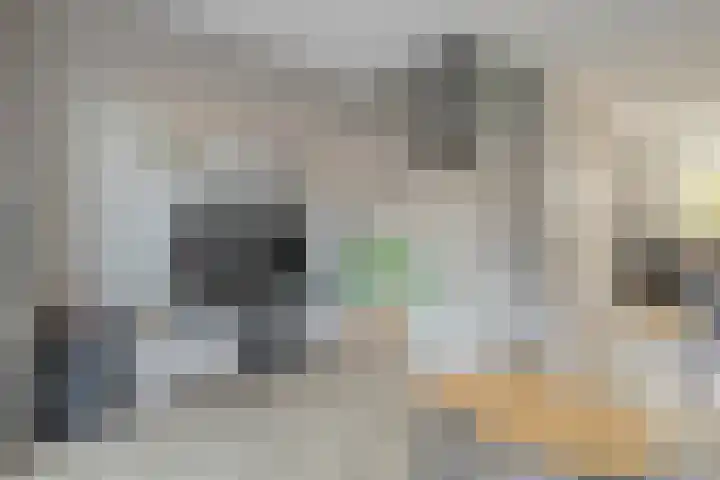 De Marke 4 Lemelerveld thumbnail 16