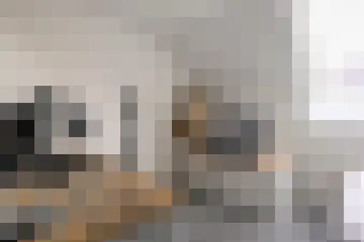 De Marke 4 Lemelerveld thumbnail 23