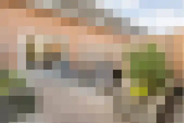 De Marke 4 Lemelerveld thumbnail 30