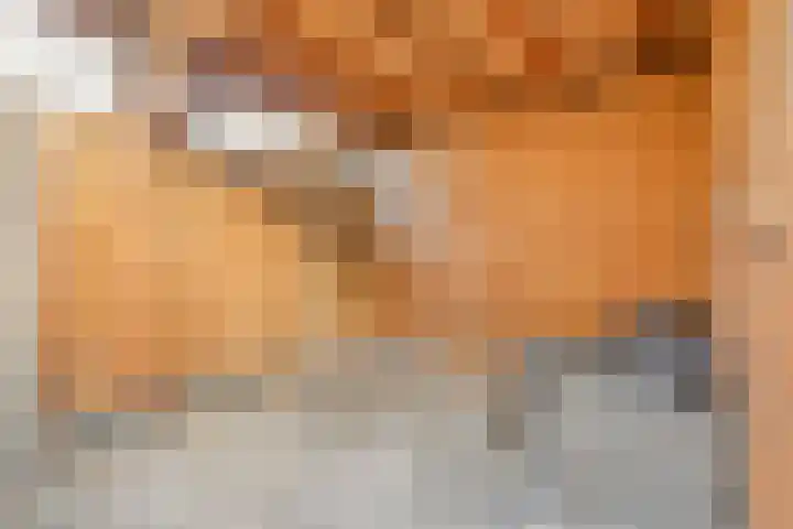 De Marke 4 Lemelerveld thumbnail 31