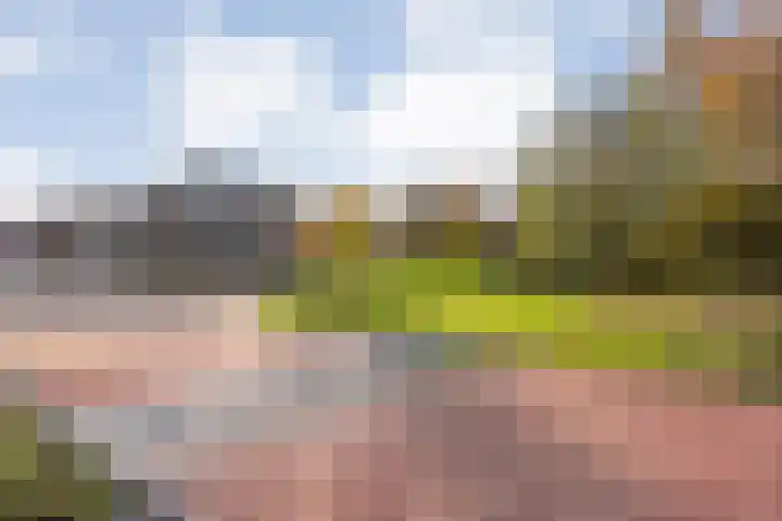 De Marke 4 Lemelerveld thumbnail 36
