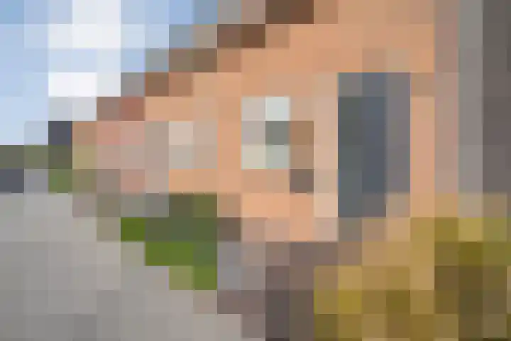 De Marke 4 Lemelerveld thumbnail 5