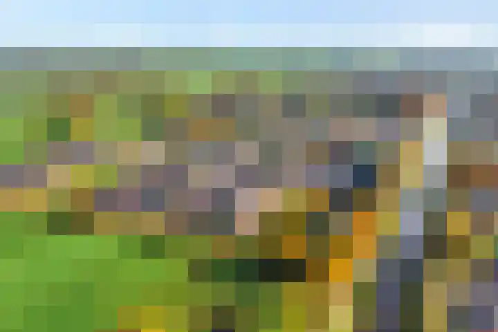 De Marke 4 Lemelerveld thumbnail 6