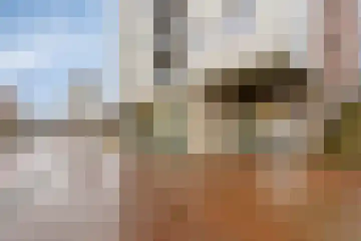 De Marke 42 Drachten thumbnail 6