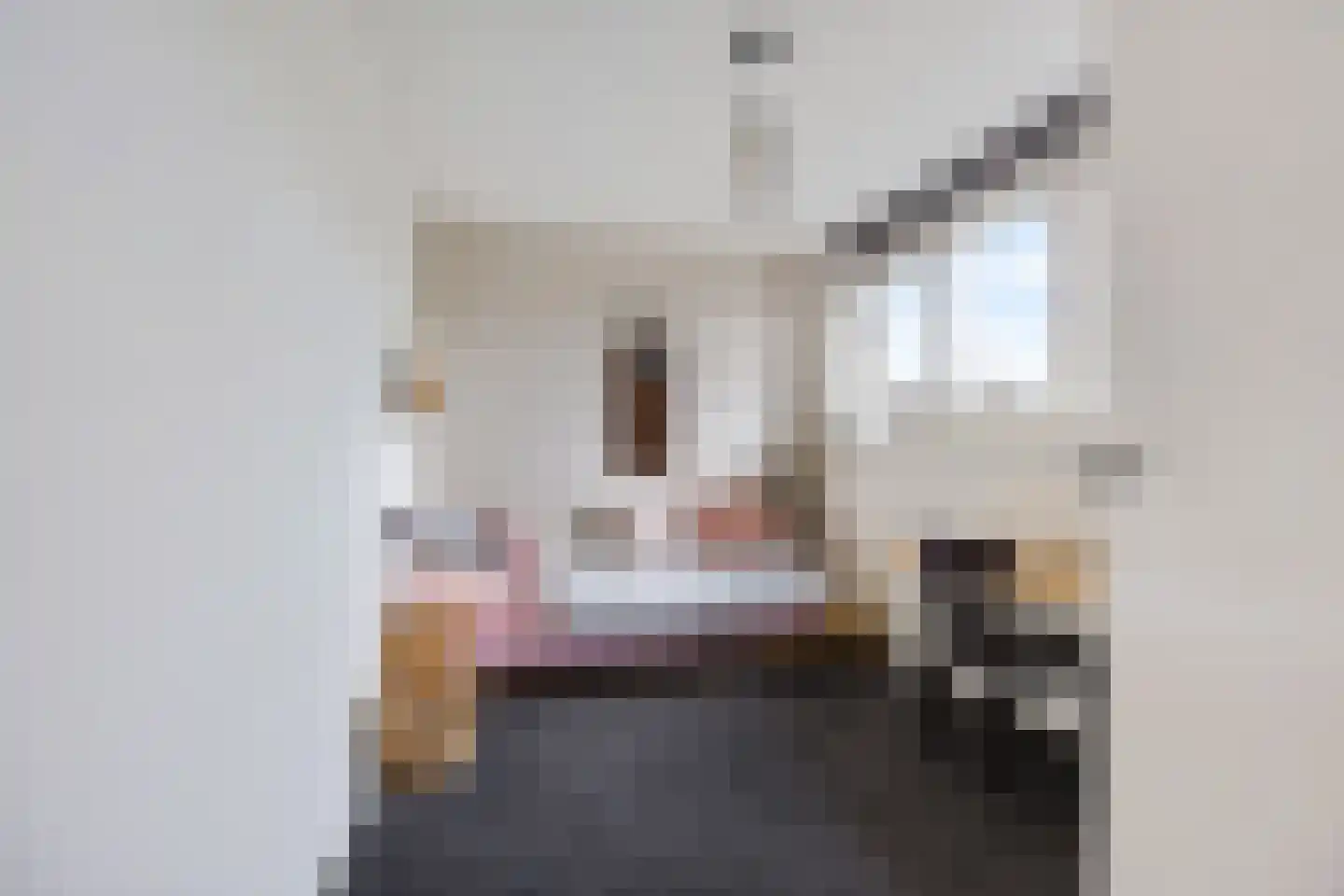 De Marke 60 Hasselt thumbnail 34