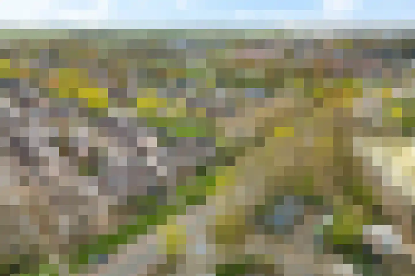 De Marke 60 Hasselt thumbnail 5