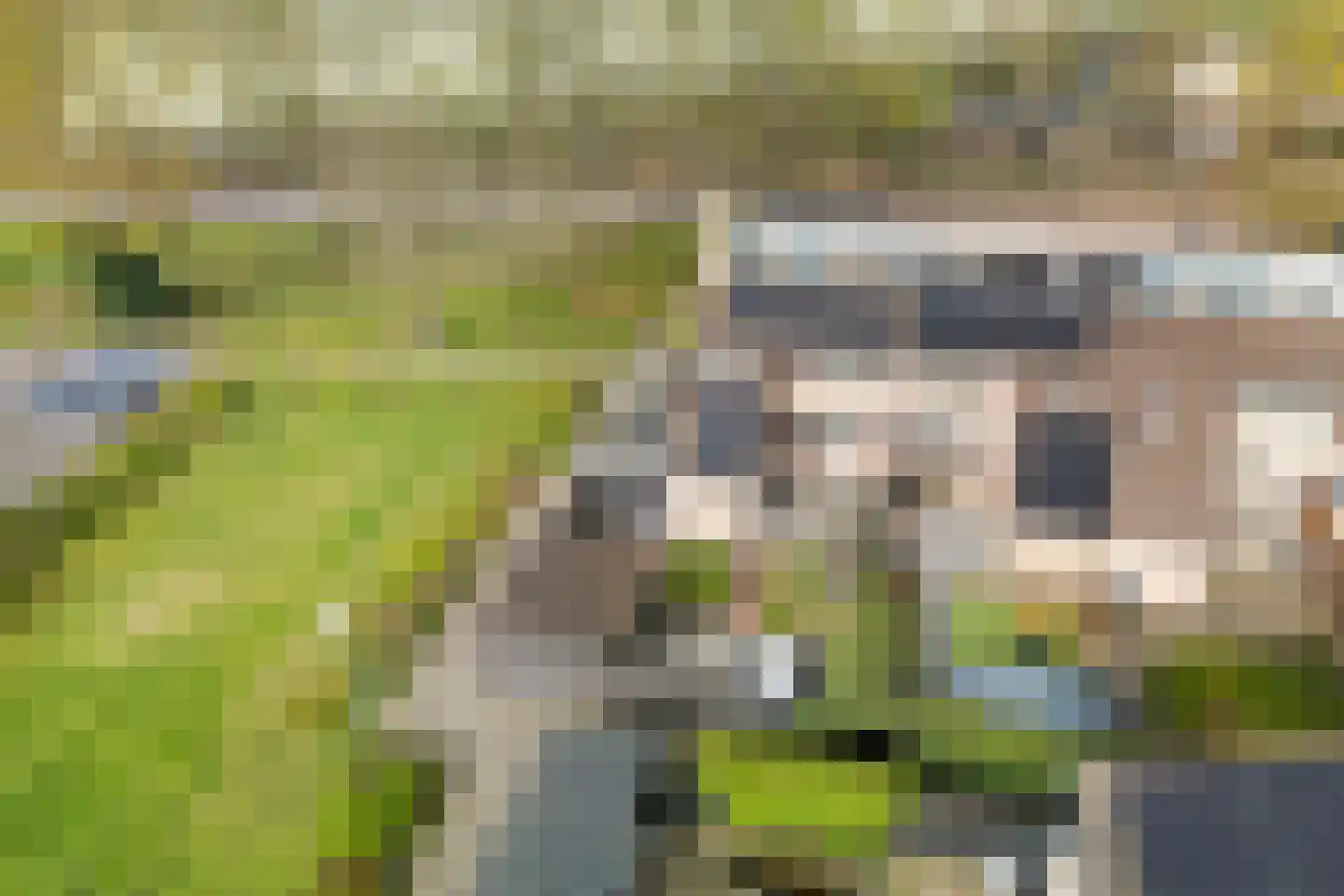 De Marke 60 Hasselt thumbnail 7