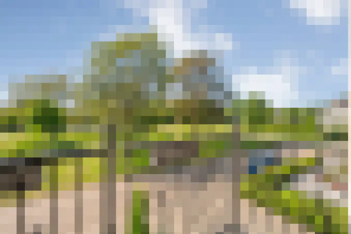 De Marke 7 Geesteren thumbnail 18