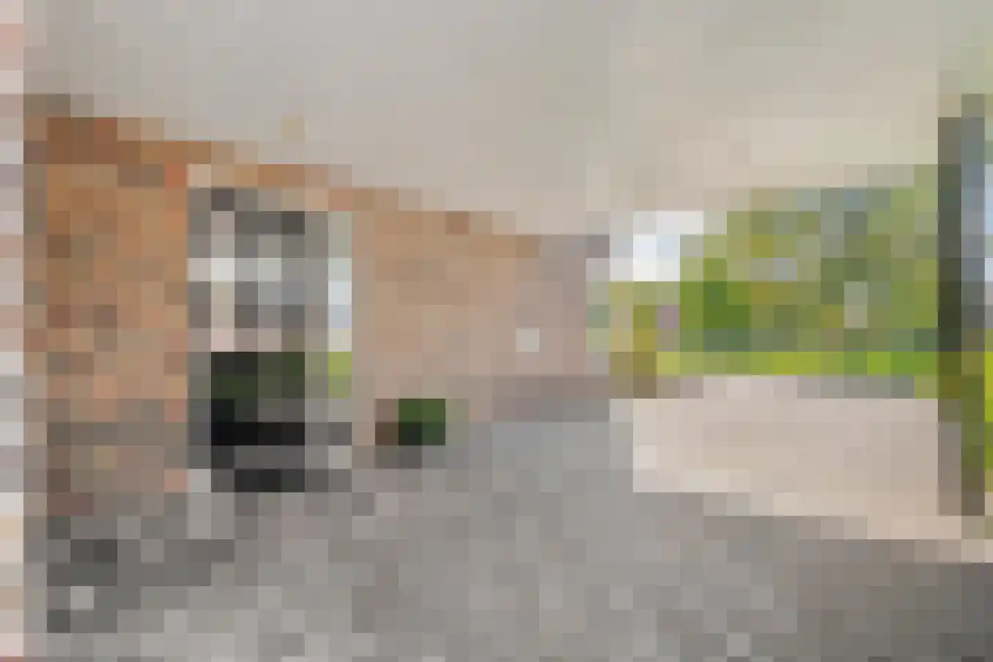 De Marke 7 Geesteren thumbnail 24