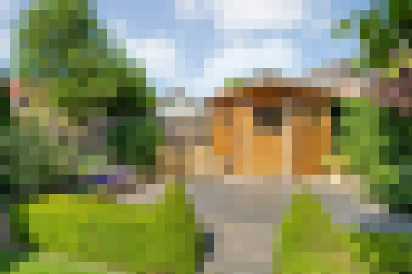 De Marke 7 Geesteren thumbnail 29