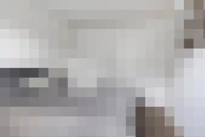De Marke 7 Wierden thumbnail 13
