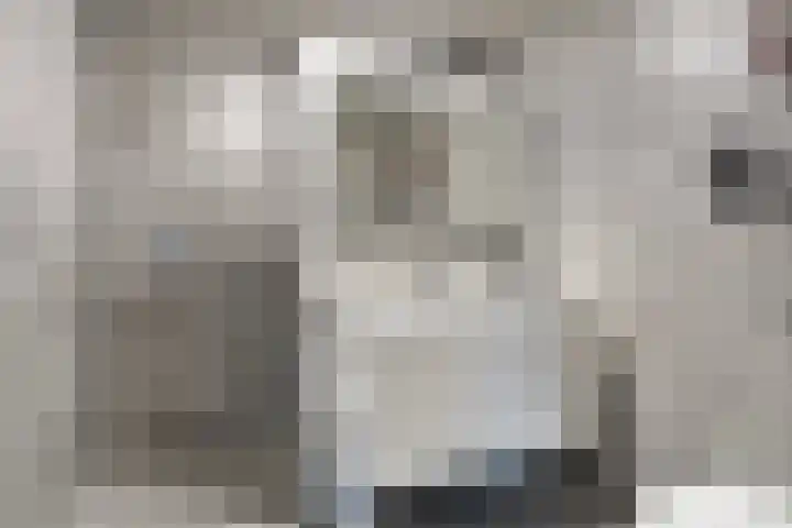 De Marke 7 Wierden thumbnail 15