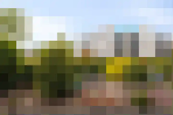 De Marke 7 Wierden thumbnail 19