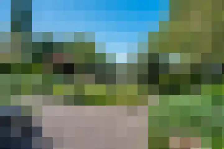 De Marke 76 Hasselt thumbnail 31
