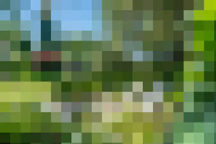De Marke 76 Hasselt thumbnail 33