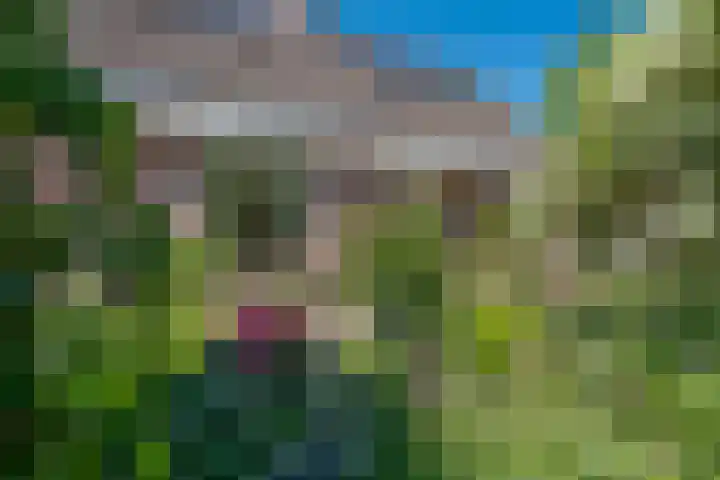 De Marke 76 Hasselt thumbnail 4