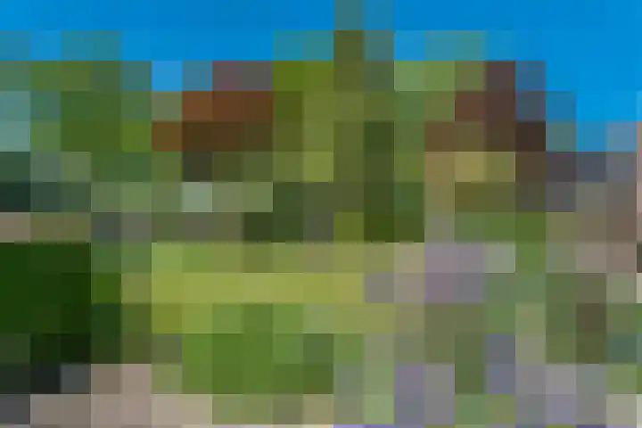 De Marke 76 Hasselt thumbnail 40