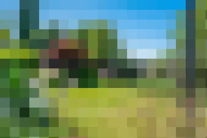 De Marke 76 Hasselt thumbnail 42