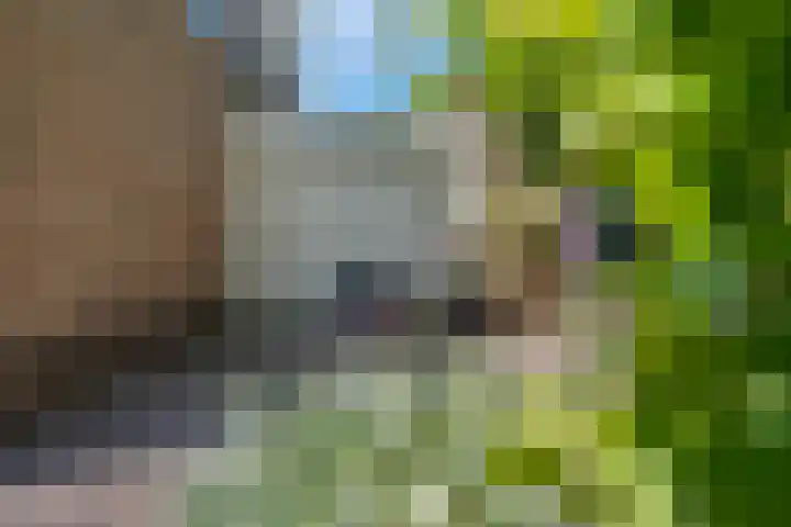De Marke 76 Hasselt thumbnail 5