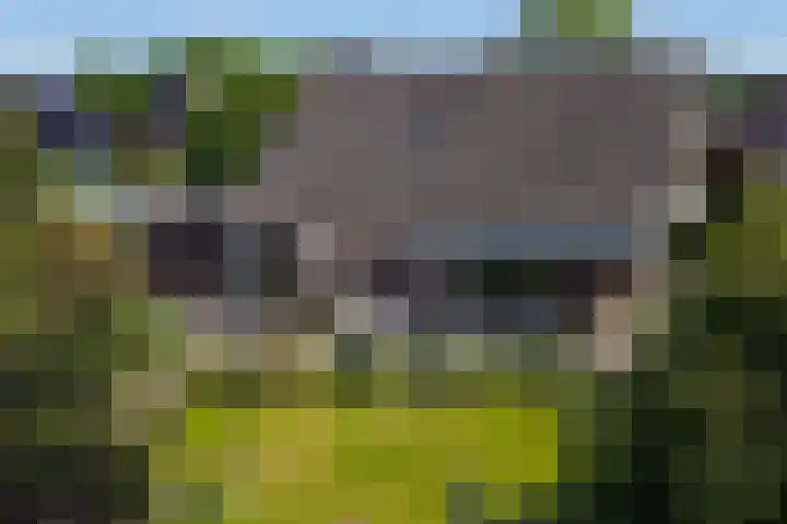 De Marke 76 Hasselt thumbnail 59