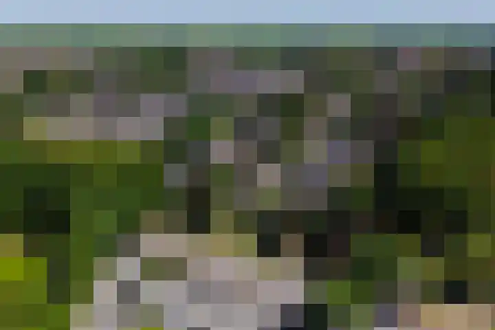 De Marke 76 Hasselt thumbnail 61