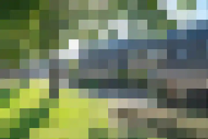 De Marke 8 Hasselt thumbnail 11