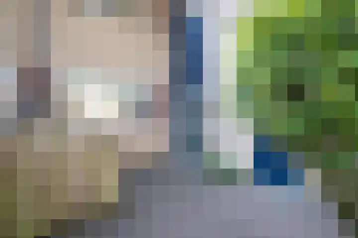 De Marke 8 Hasselt thumbnail 12