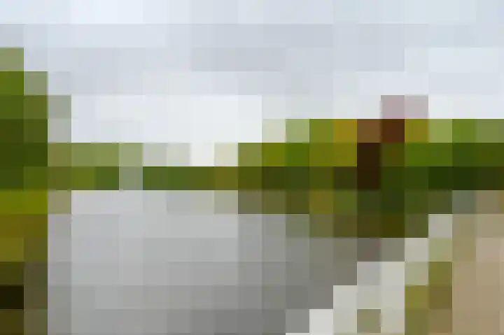 De Marke 8 Hasselt thumbnail 40