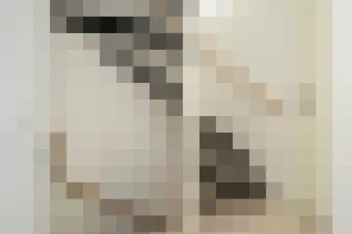 De Marke 8 Hasselt thumbnail 51