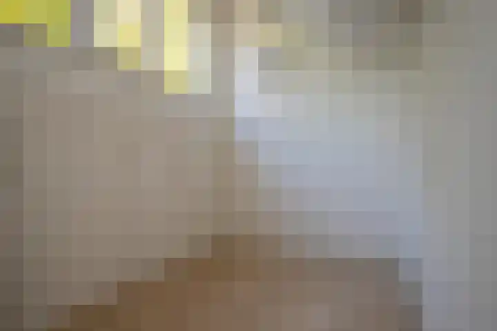 De Marke 8 Hasselt thumbnail 56