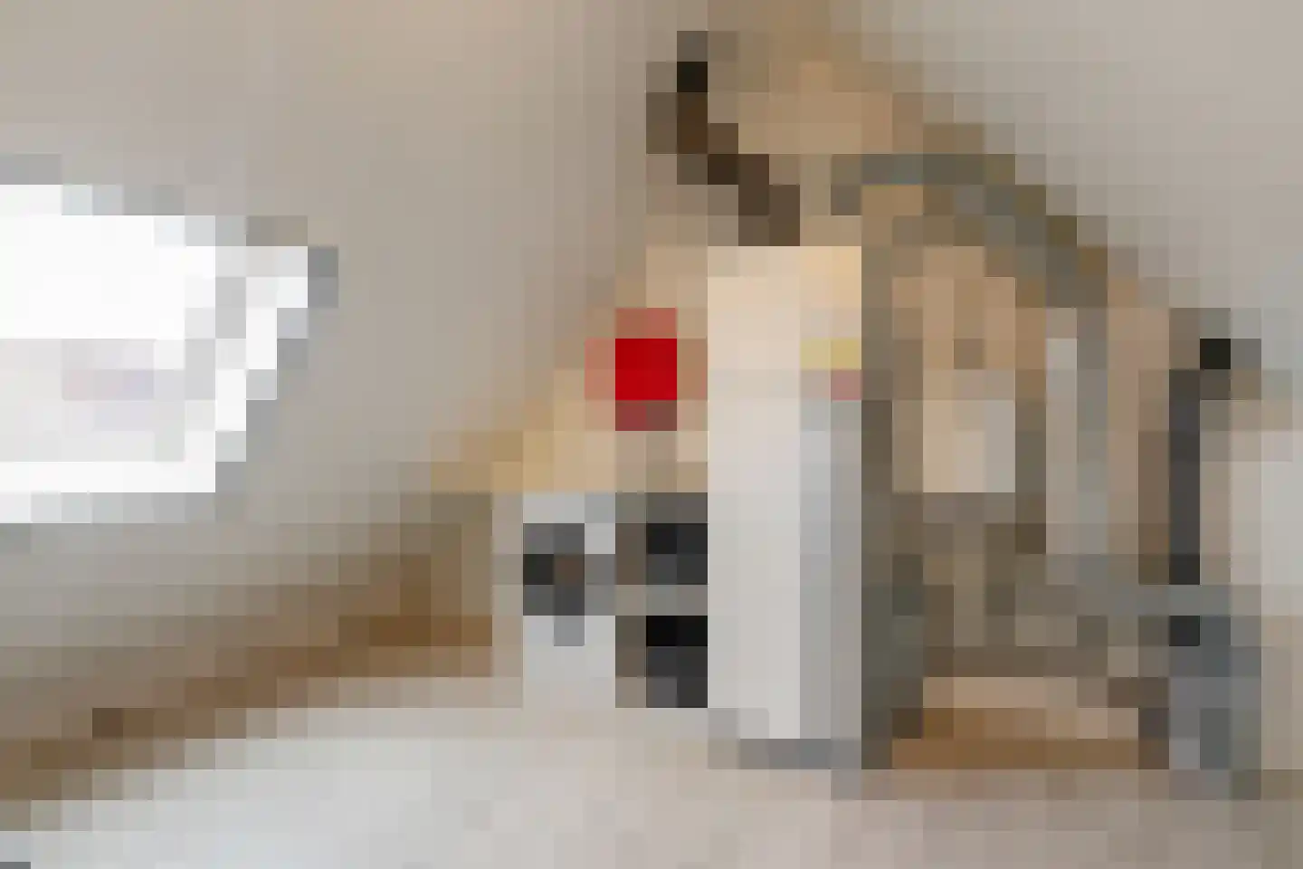 De Marke 8 Lemelerveld thumbnail 23