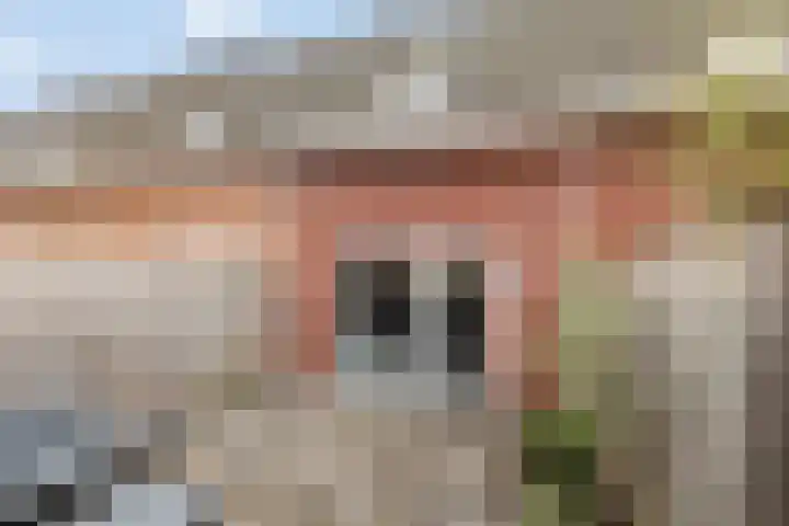 De Marke 8 Lemelerveld thumbnail 26