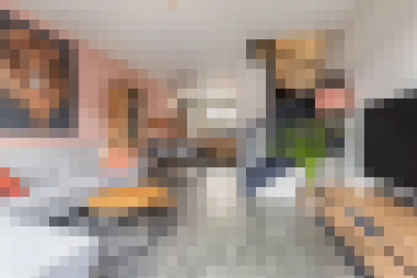 De Marke 8 Lemelerveld thumbnail 8