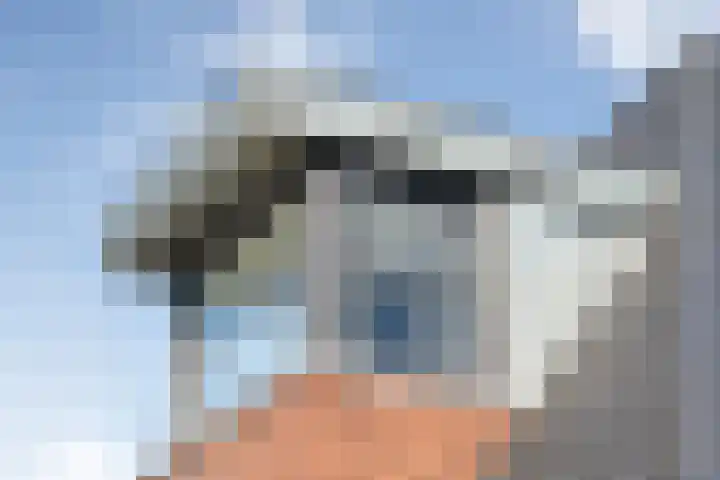 de Marke 9 Dalerveen thumbnail 10