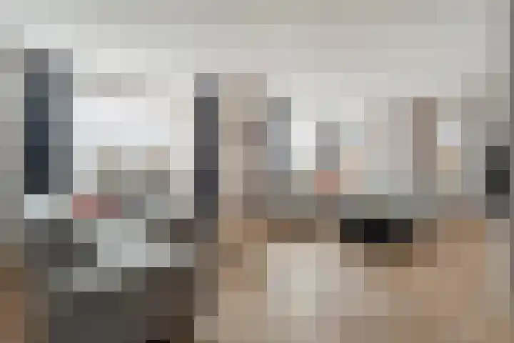 de Marke 9 Dalerveen thumbnail 17