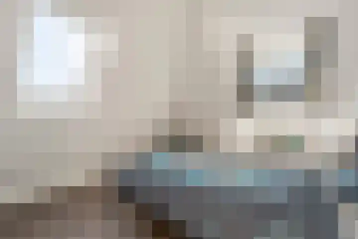de Marke 9 Dalerveen thumbnail 39
