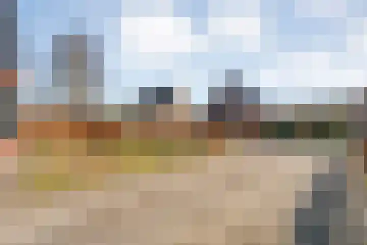 de Marke 9 Dalerveen thumbnail 4