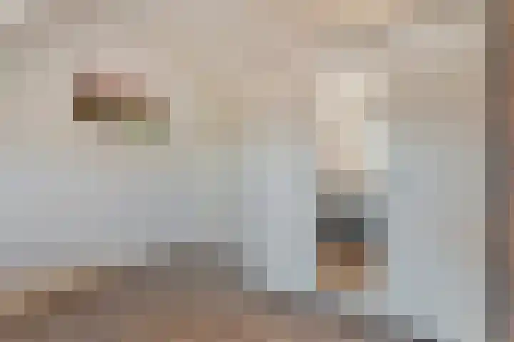 de Marke 9 Dalerveen thumbnail 47