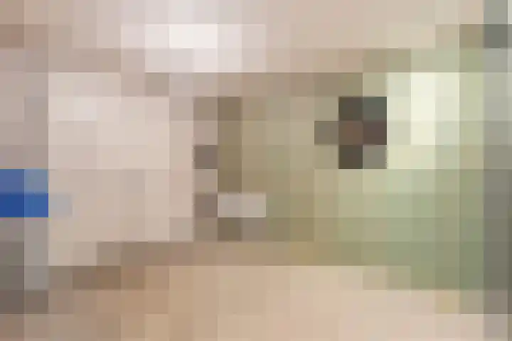 de Marke 9 Dalerveen thumbnail 52