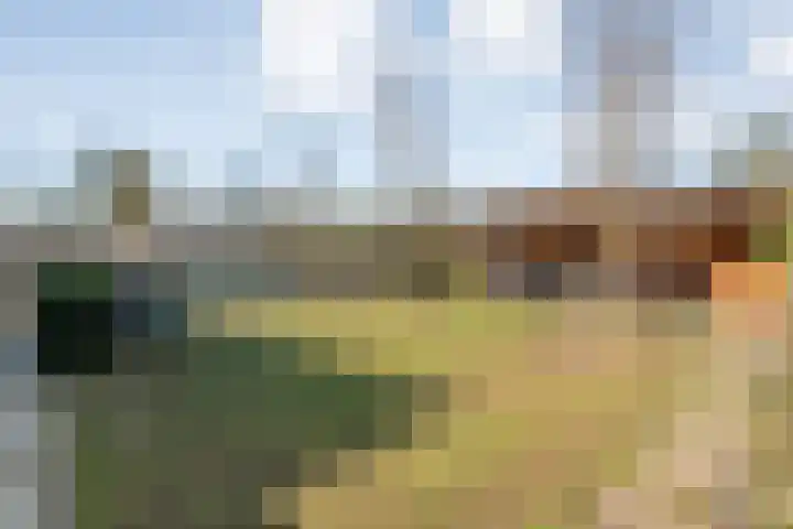 de Marke 9 Dalerveen thumbnail 56