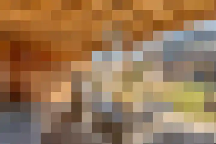 de Marke 9 Dalerveen thumbnail 60